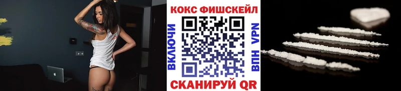 Купить Корсаков Кокаин Fish Scale