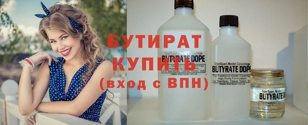 дживик Инта
