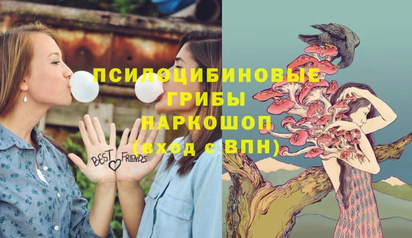 мяу мяу кристалл Инсар