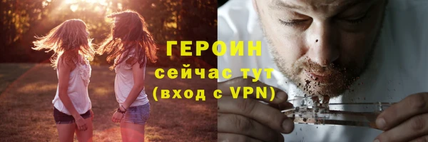 дживик Инта