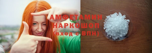 дживик Инта