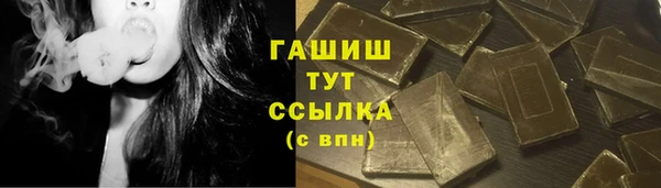 дживик Инта