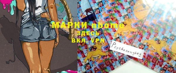 дживик Инта