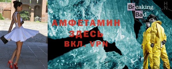 дживик Инта