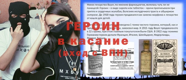 дживик Инта