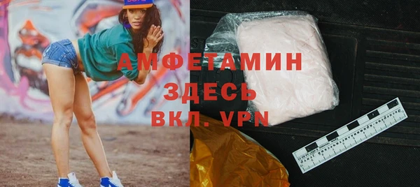 дживик Инта