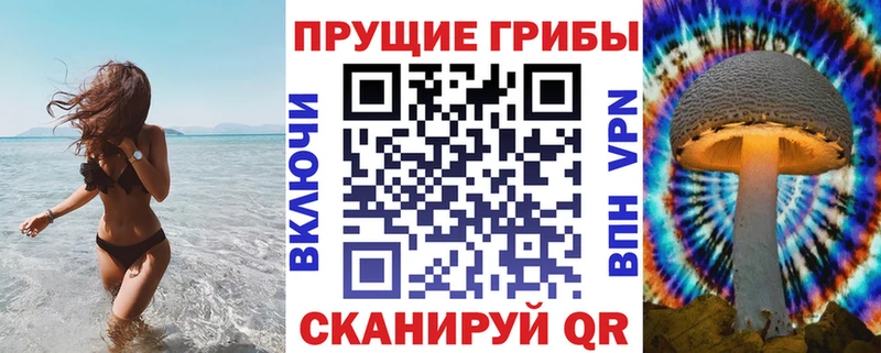 Псилоцибиновые грибы Cubensis  Купить где  Корсаков 